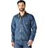 Denim Detroit Jacket