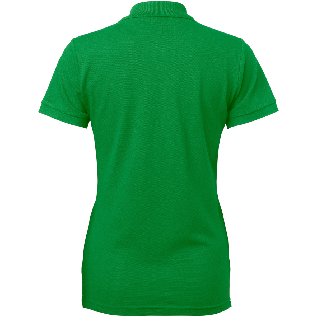 科罗尼塔·波罗