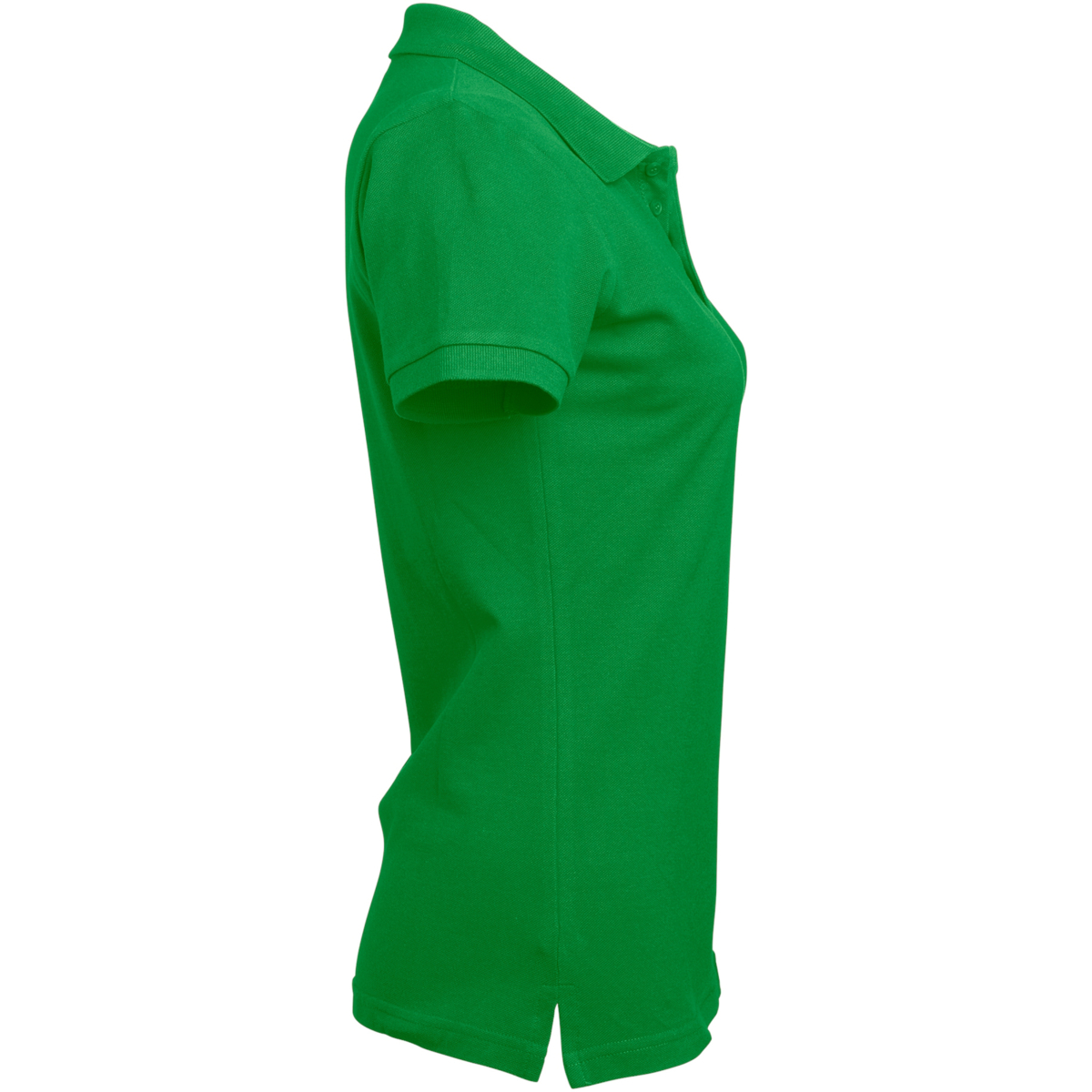 科罗尼塔·波罗