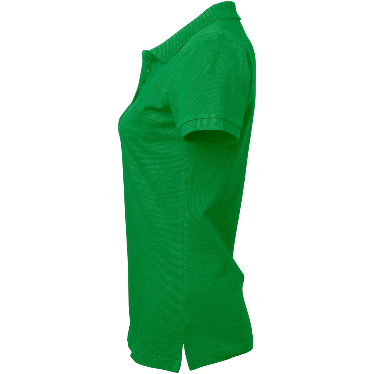 科罗尼塔·波罗