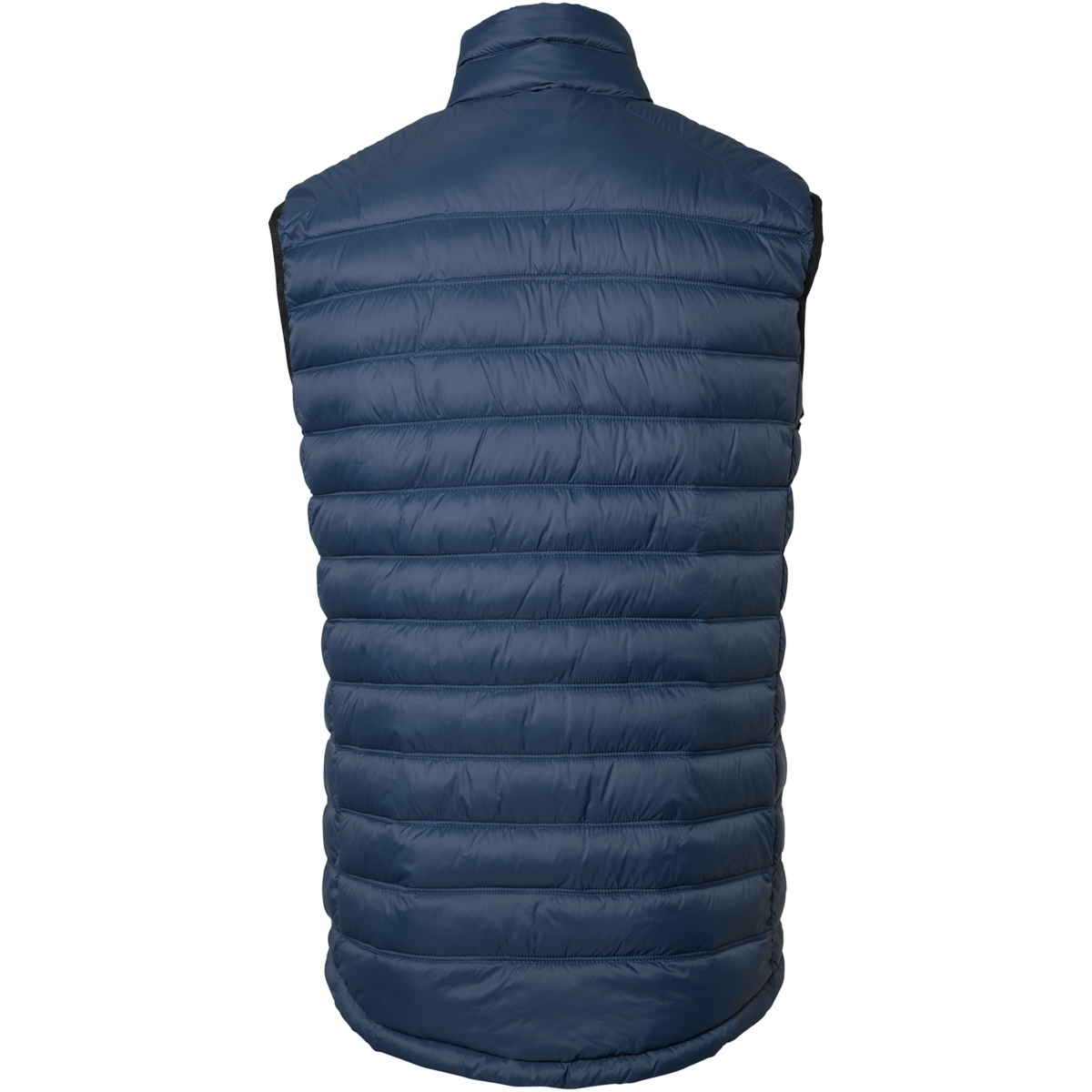 阿尔维·维斯特