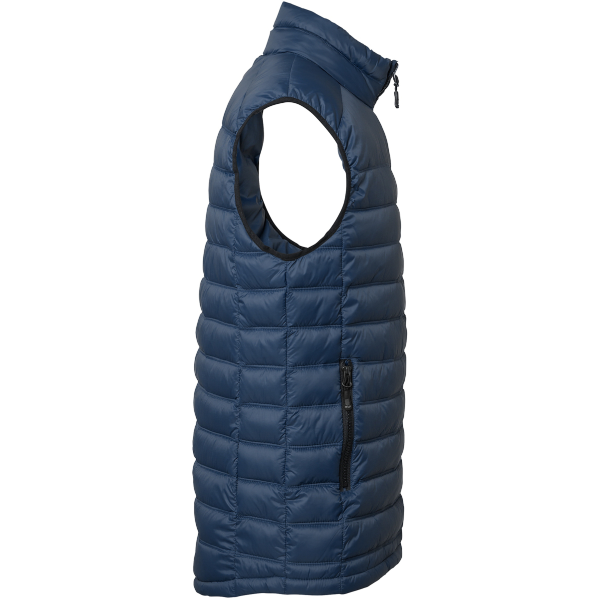 阿尔维·维斯特