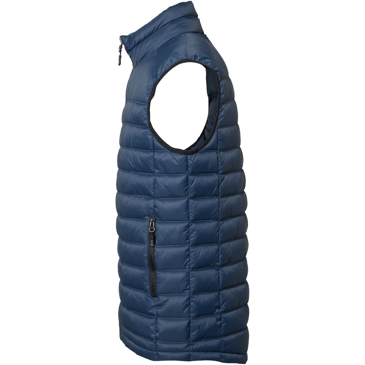 阿尔维·维斯特