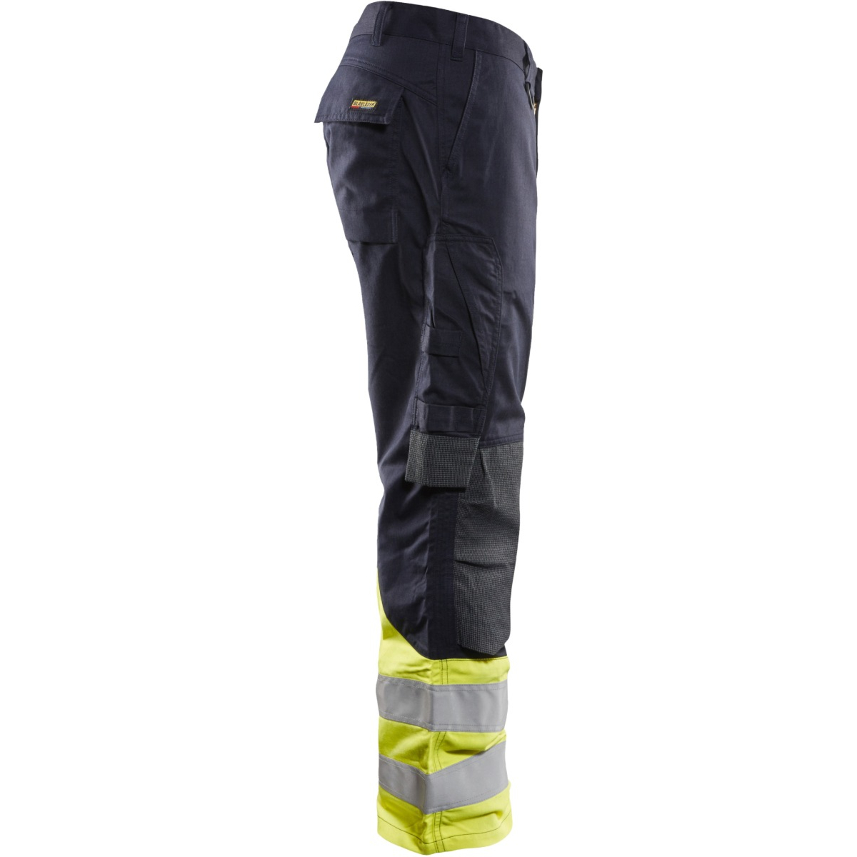 Multinorm 固有裤子