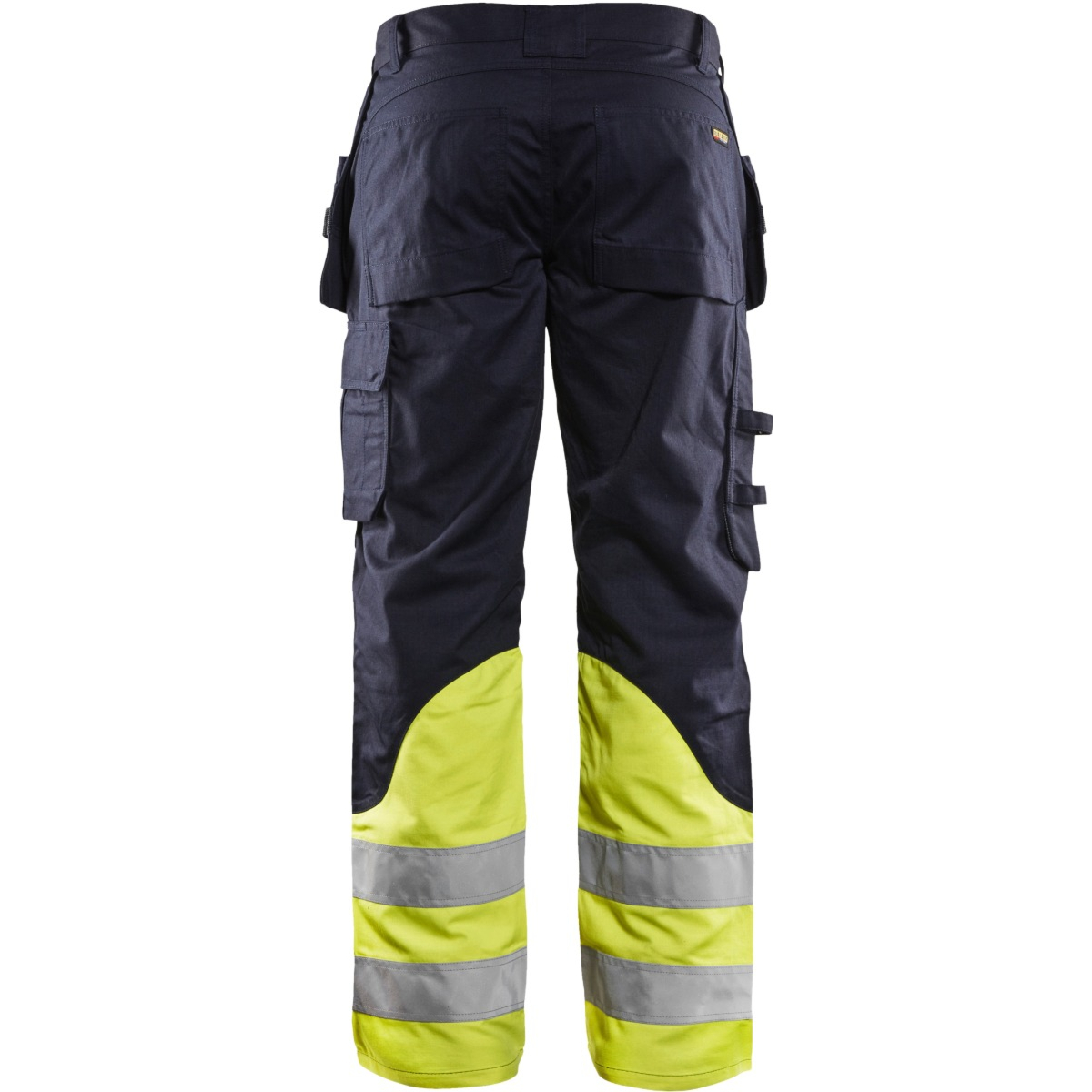 Multinorm 固有裤子