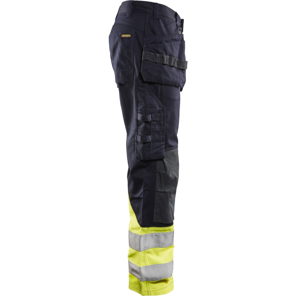 Multinorm 固有裤子