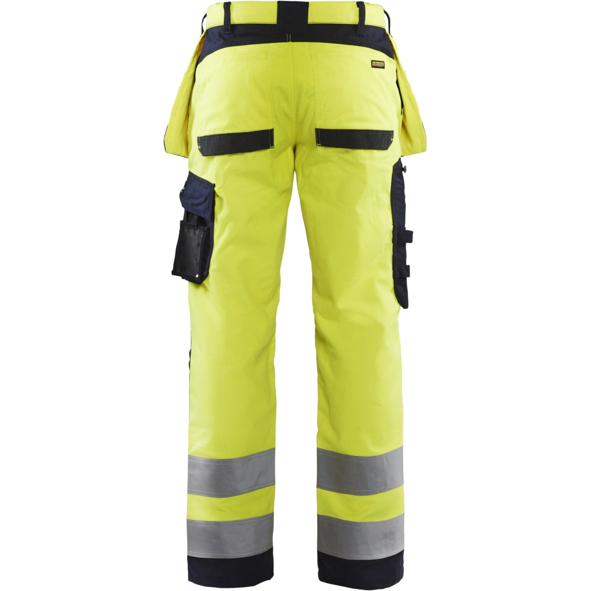 Multinorm 固有裤子