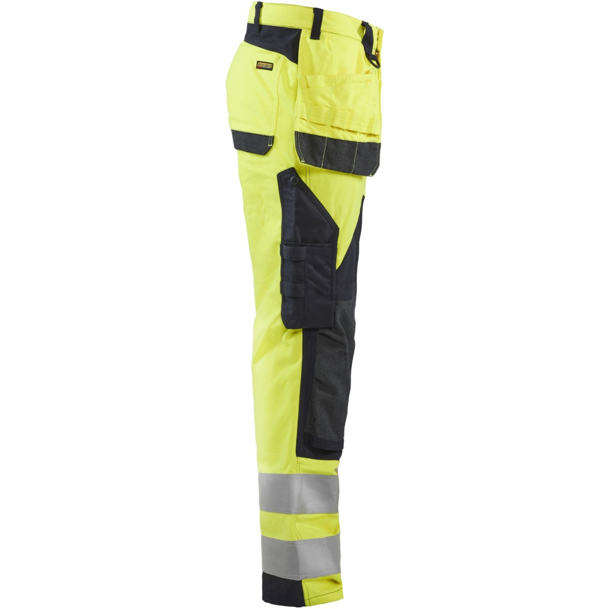 Multinorm 固有裤子